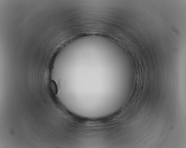 X0000114160556200910081136