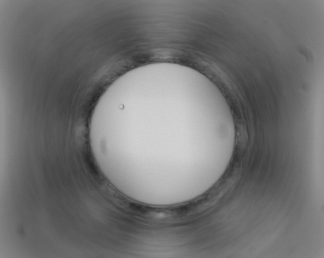 X0000114160557200910081136
