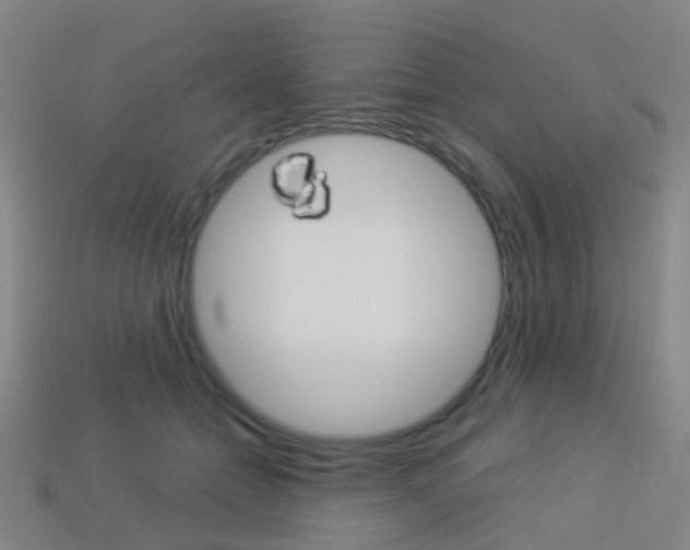 X0000114160558200910081136