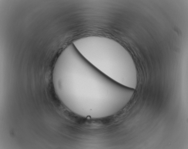 X0000114160559200910081136
