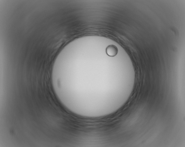 X0000114160560200910081136