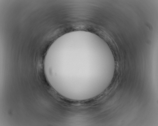 X0000114160561200910081136