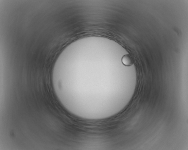 X0000114160562200910081136
