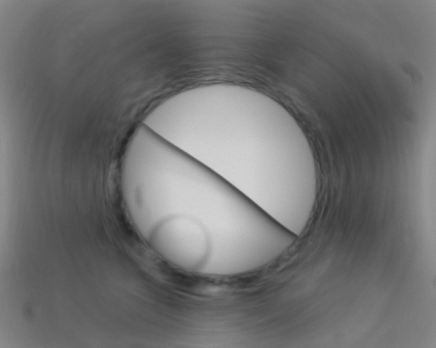 X0000114160563200910081136