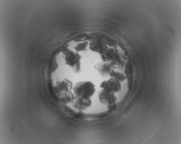 X0000114160565200910081136