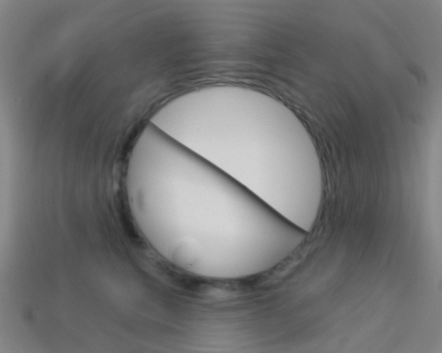 X0000114160567200910081136