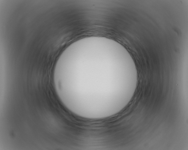 X0000114160568200910081136