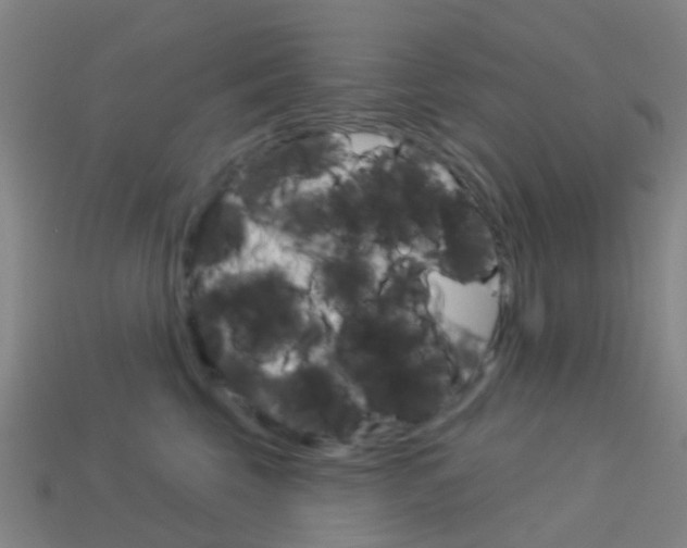 X0000114160569200910081136