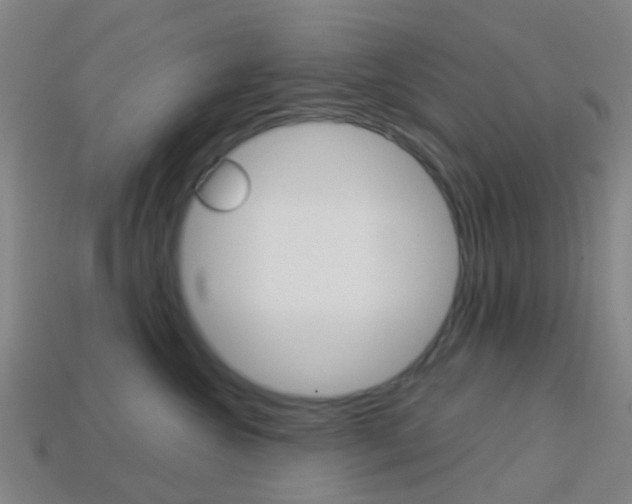 X0000114160572200910081136