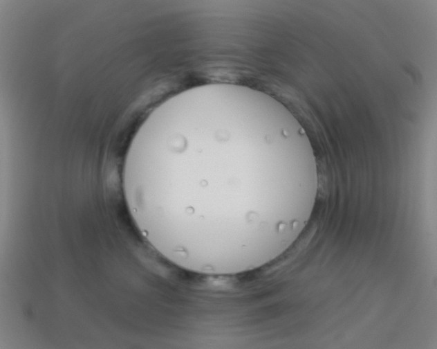 X0000114160573200910081136