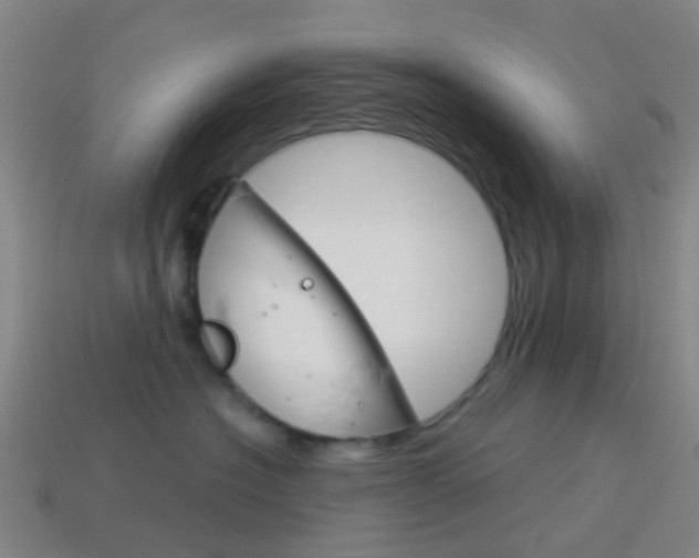 X0000114160574200910081136
