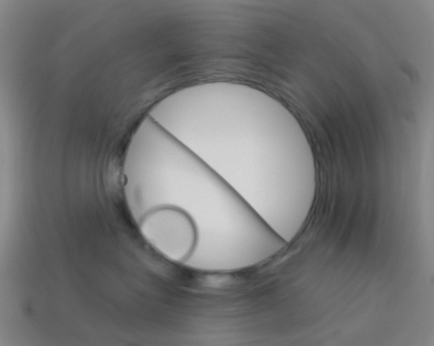 X0000114160575200910081136