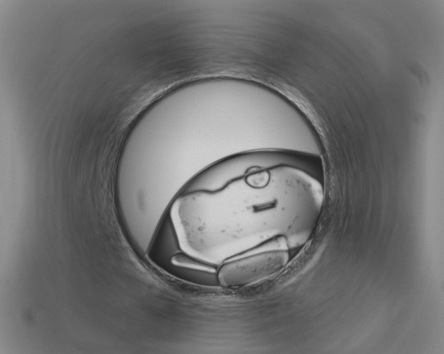 X0000114160577200910081135