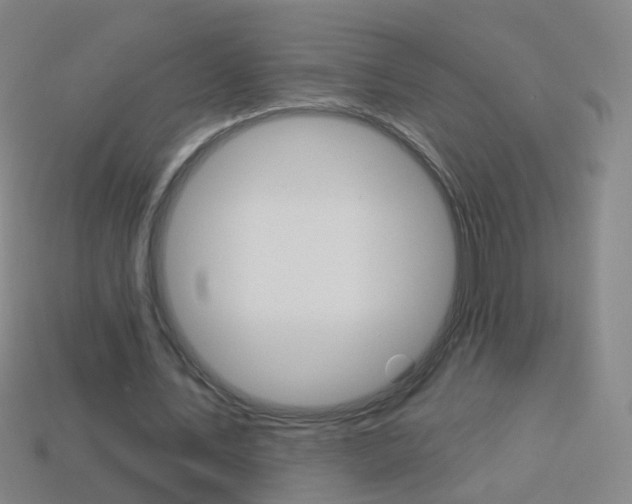 X0000114160579200910081135