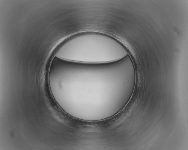 X0000114160580200910081135