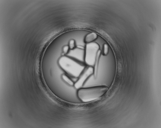 X0000114160581200910081135