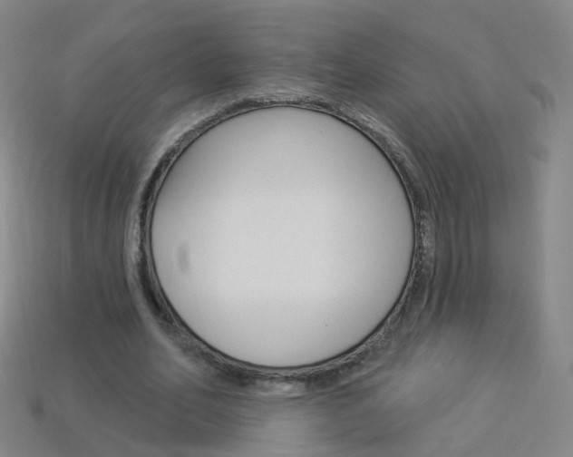 X0000114160582200910081135
