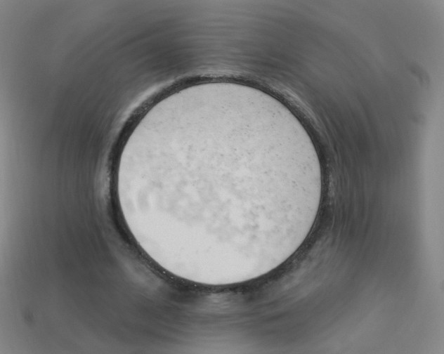 X0000114160584200910081135