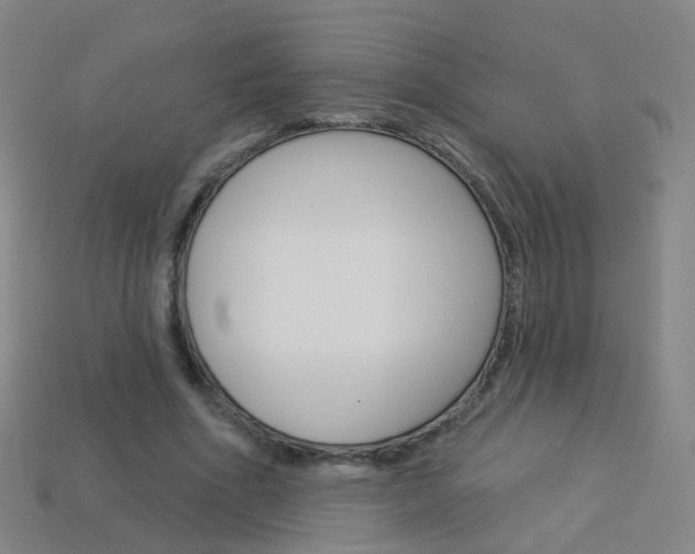 X0000114160586200910081135