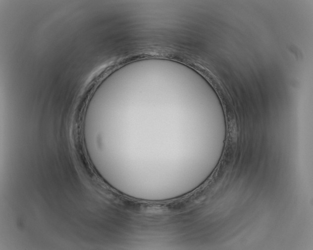 X0000114160587200910081135