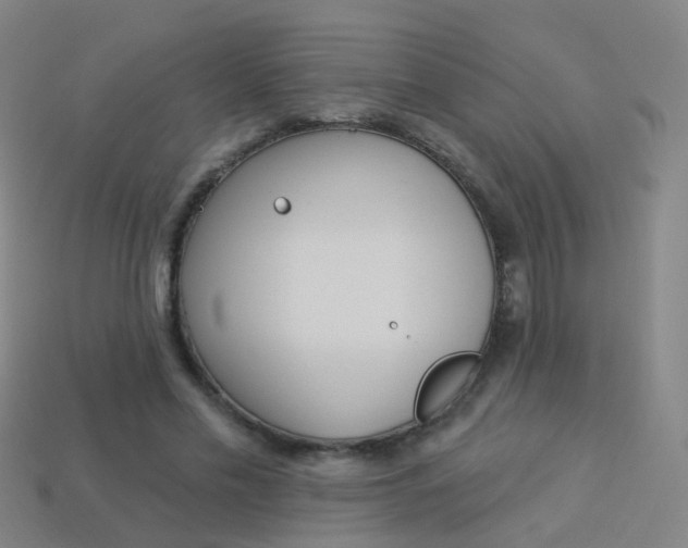 X0000114160589200910081135