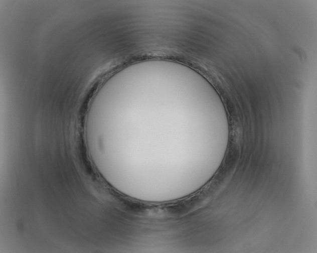 X0000114160591200910081135