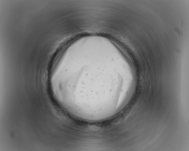 X0000114160592200910081135