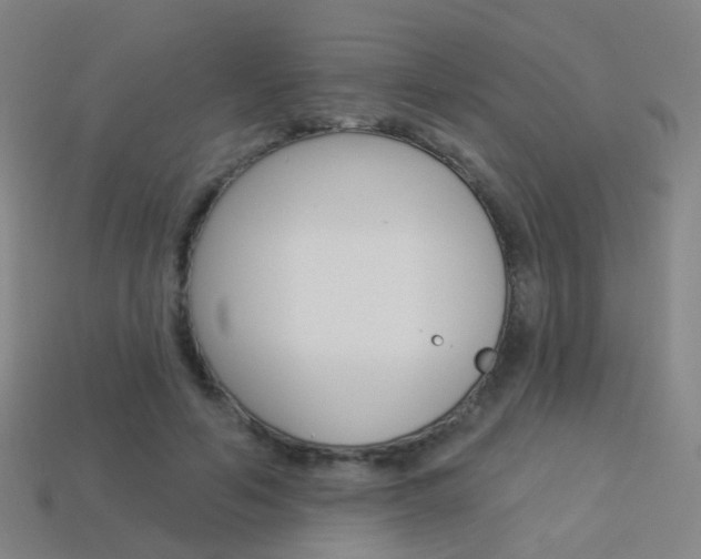 X0000114160594200910081135