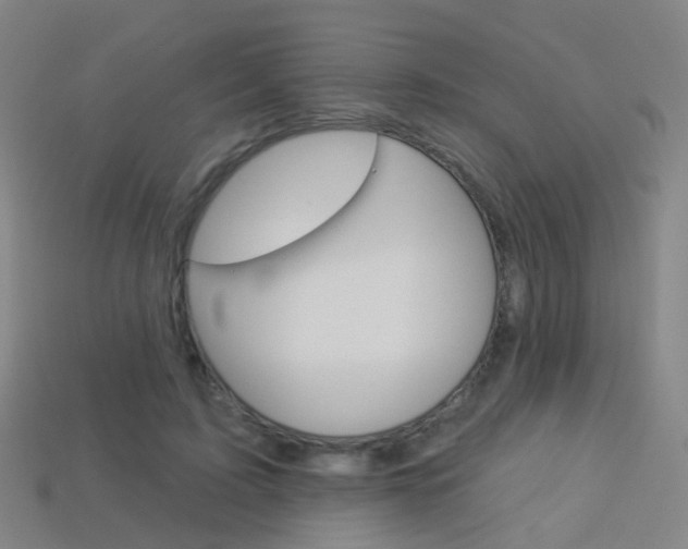 X0000114160595200910081135