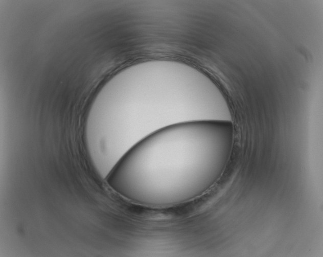 X0000114160597200910081135