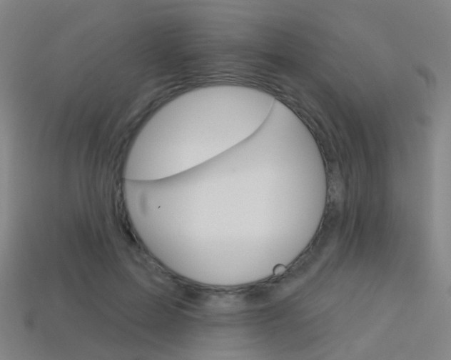 X0000114160599200910081135