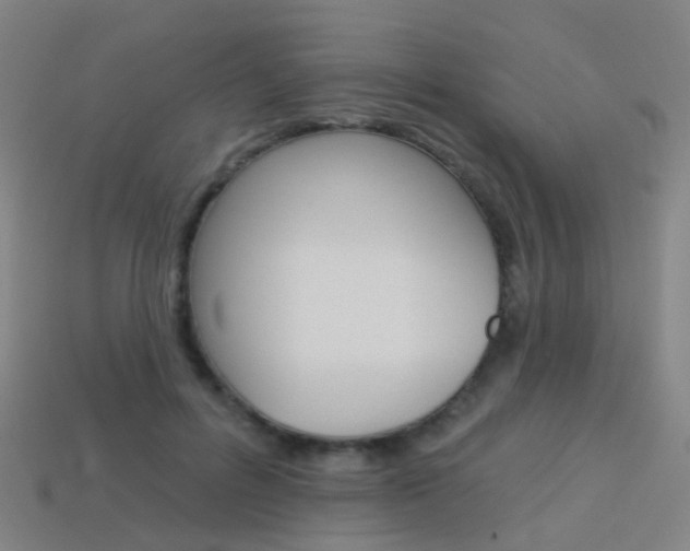 X0000114160600200910081135