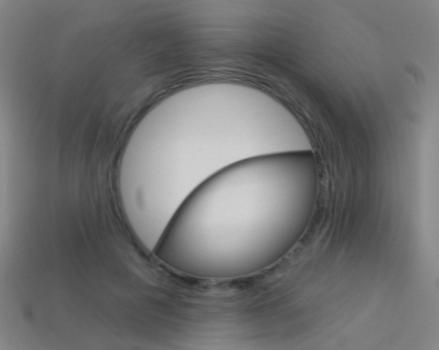 X0000114160601200910081135