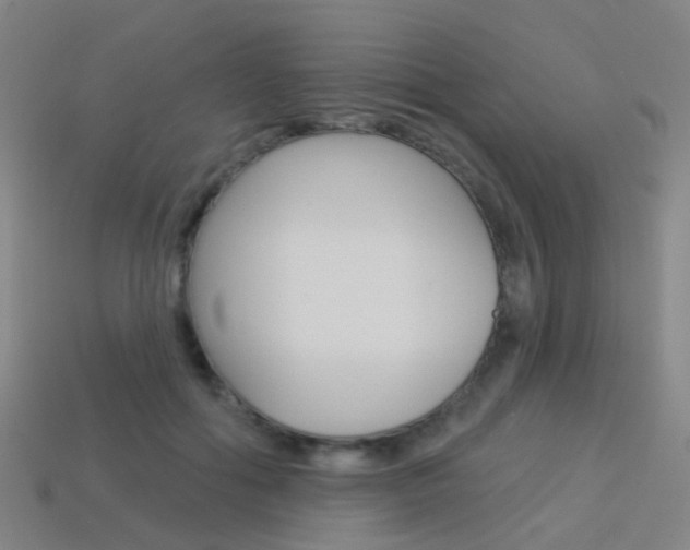 X0000114160602200910081135