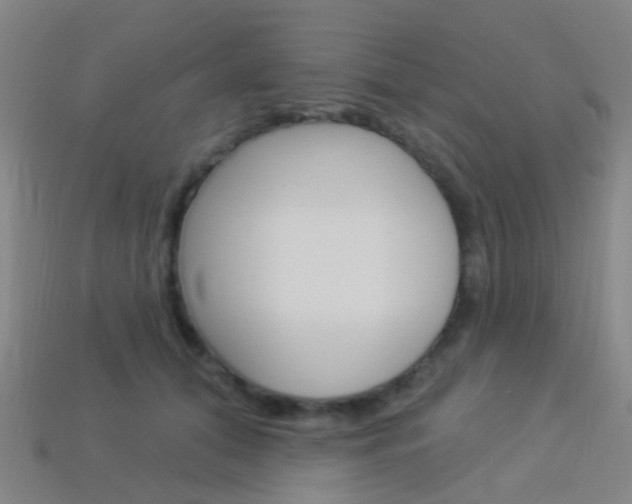 X0000114160608200910081135