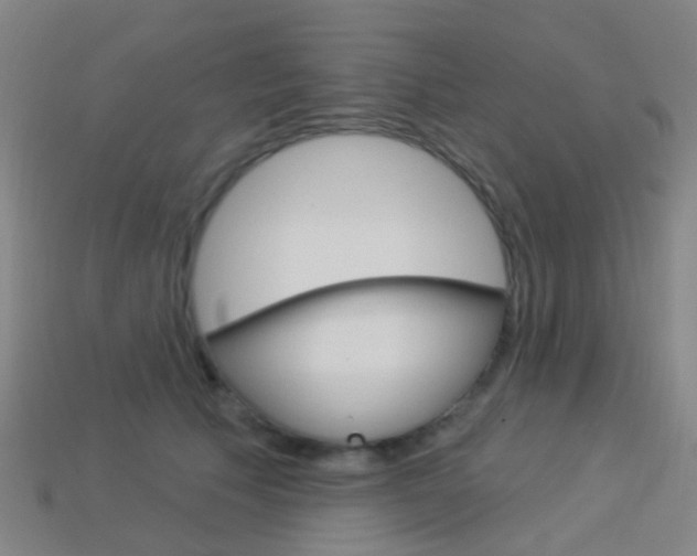 X0000114160609200910081135