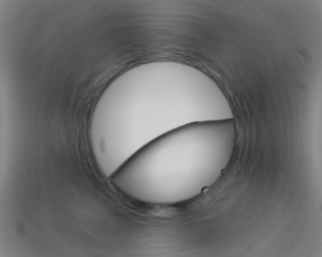 X0000114160617200910081135