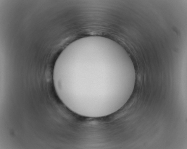 X0000114160620200910081135
