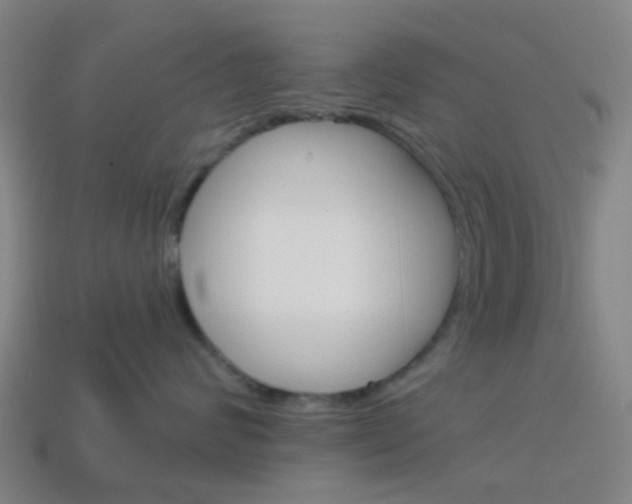 X0000114160624200910081135