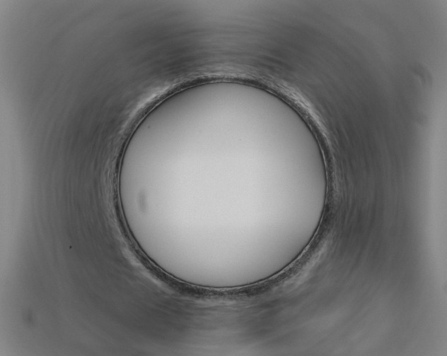 X0000114160625200910081134