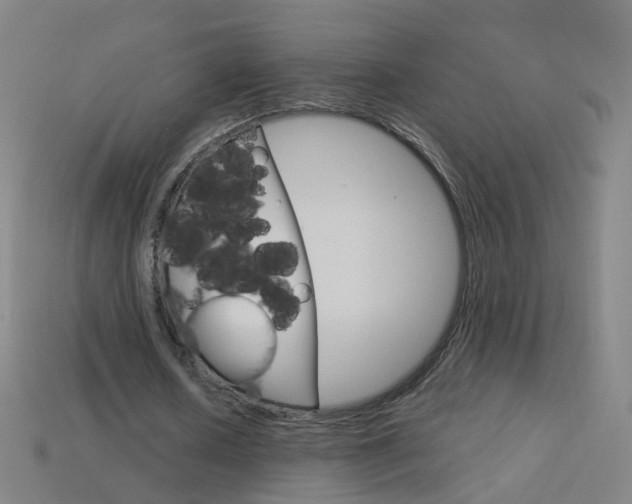 X0000114160626200910081134