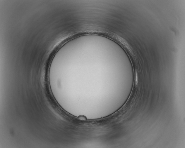 X0000114160627200910081134