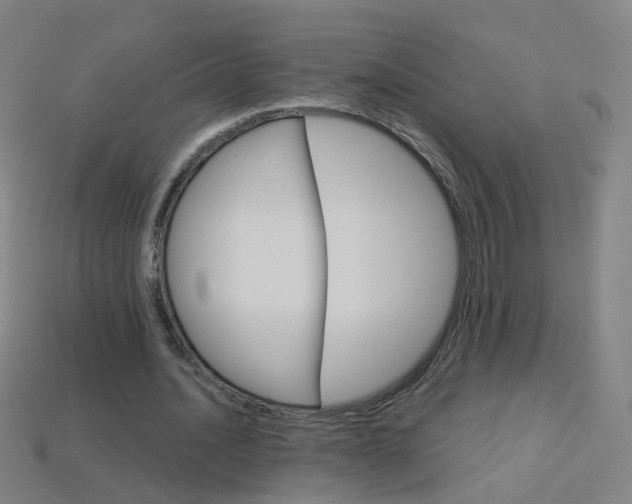 X0000114160628200910081134