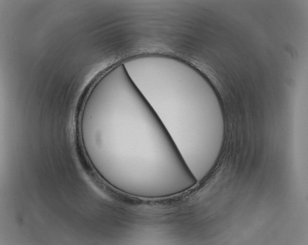 X0000114160630200910081134