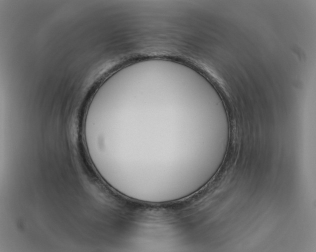 X0000114160631200910081134