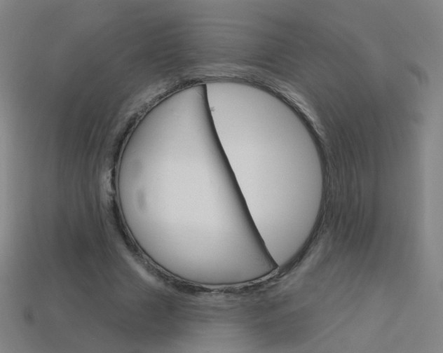 X0000114160633200910081134
