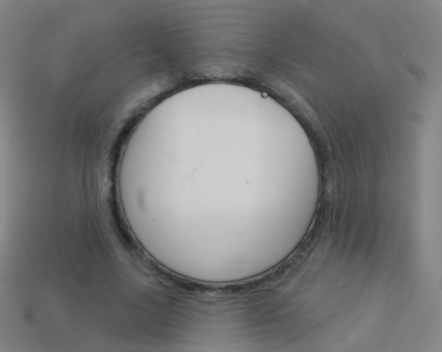 X0000114160635200910081134