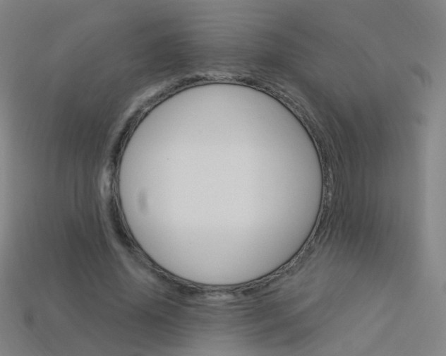 X0000114160636200910081134