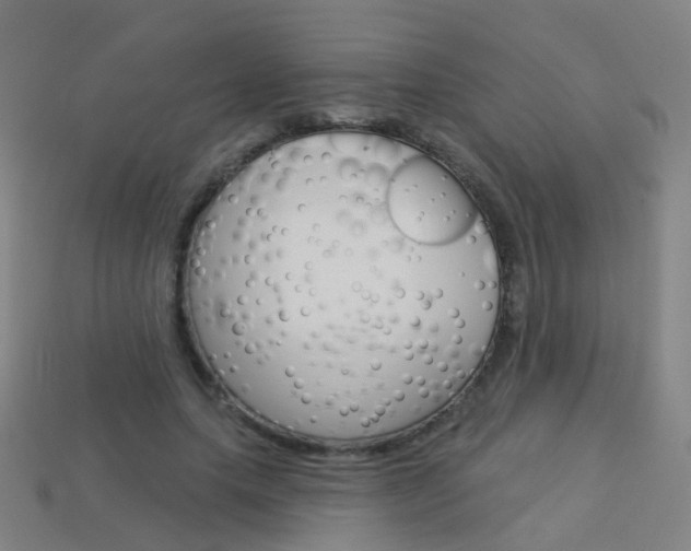 X0000114160639200910081134