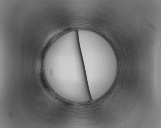 X0000114160640200910081134